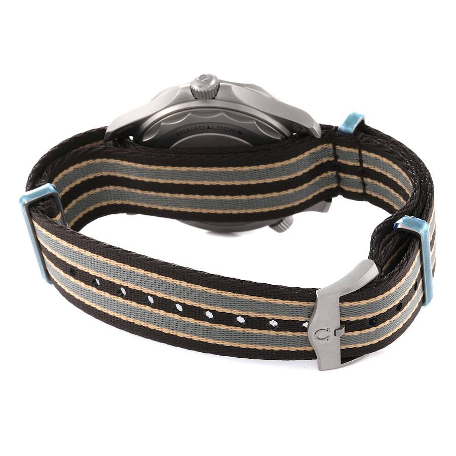 Omega Seamaster Diver 300 M Référence: OMEGA